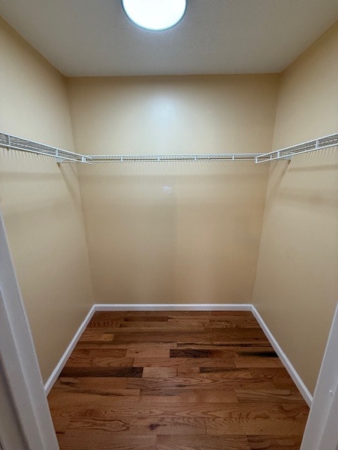 Building Photo - 3221 Kings Realm Ave