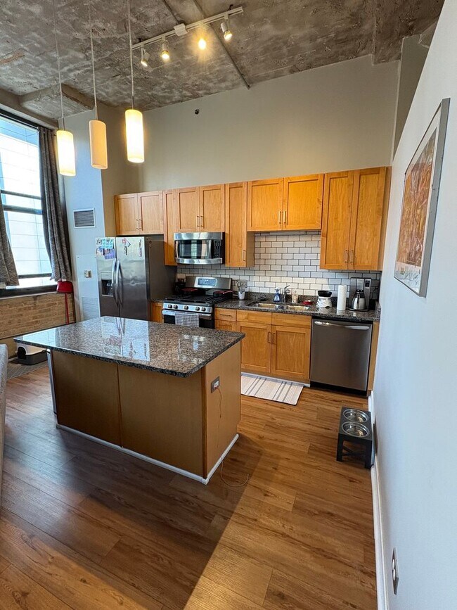 Building Photo - South Loop Chicago 1 Bed 1 Bath Apartment