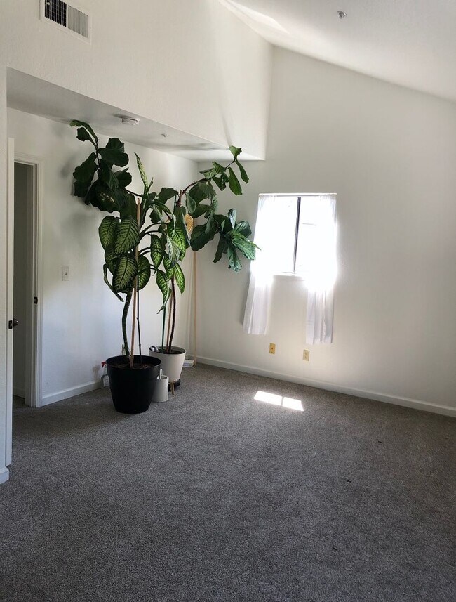 Building Photo - Coastal Flow Meets Trail Life in Aptos Village