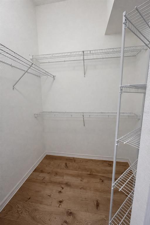 Building Photo - 927 Shadowmoss Dr