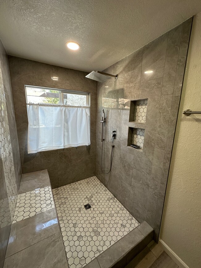 Master Bath Walk-in Shower - 732 Lake Terrace Cir