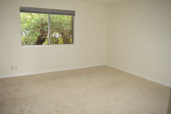 Building Photo - Nicely Updated and Pet Friendly Sausalito ...