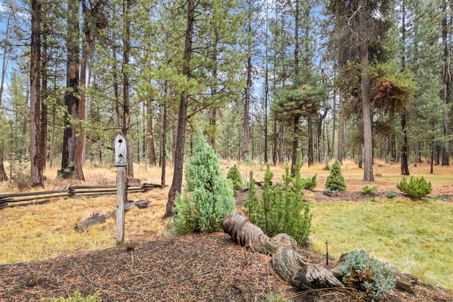 Building Photo - Unfurnished Peaceful River Retreat – Moder...