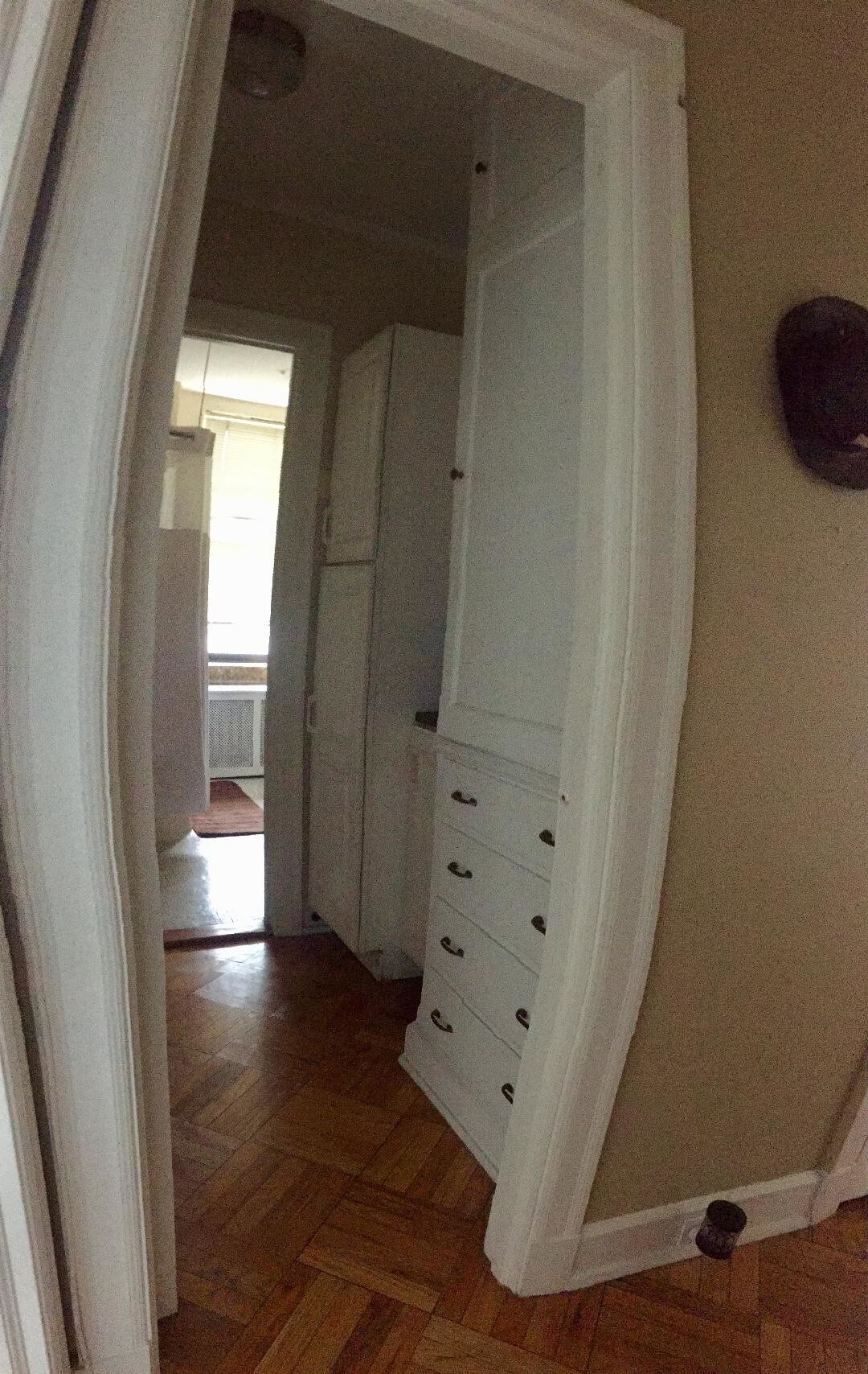 Main Entry to Bathroom with lots of storage - 2000 N Lincoln Park W