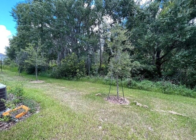 Building Photo - 32867 Pez Landing Ln