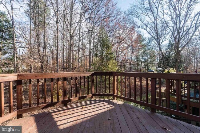 Building Photo - 8525 Gambel Oak Dr