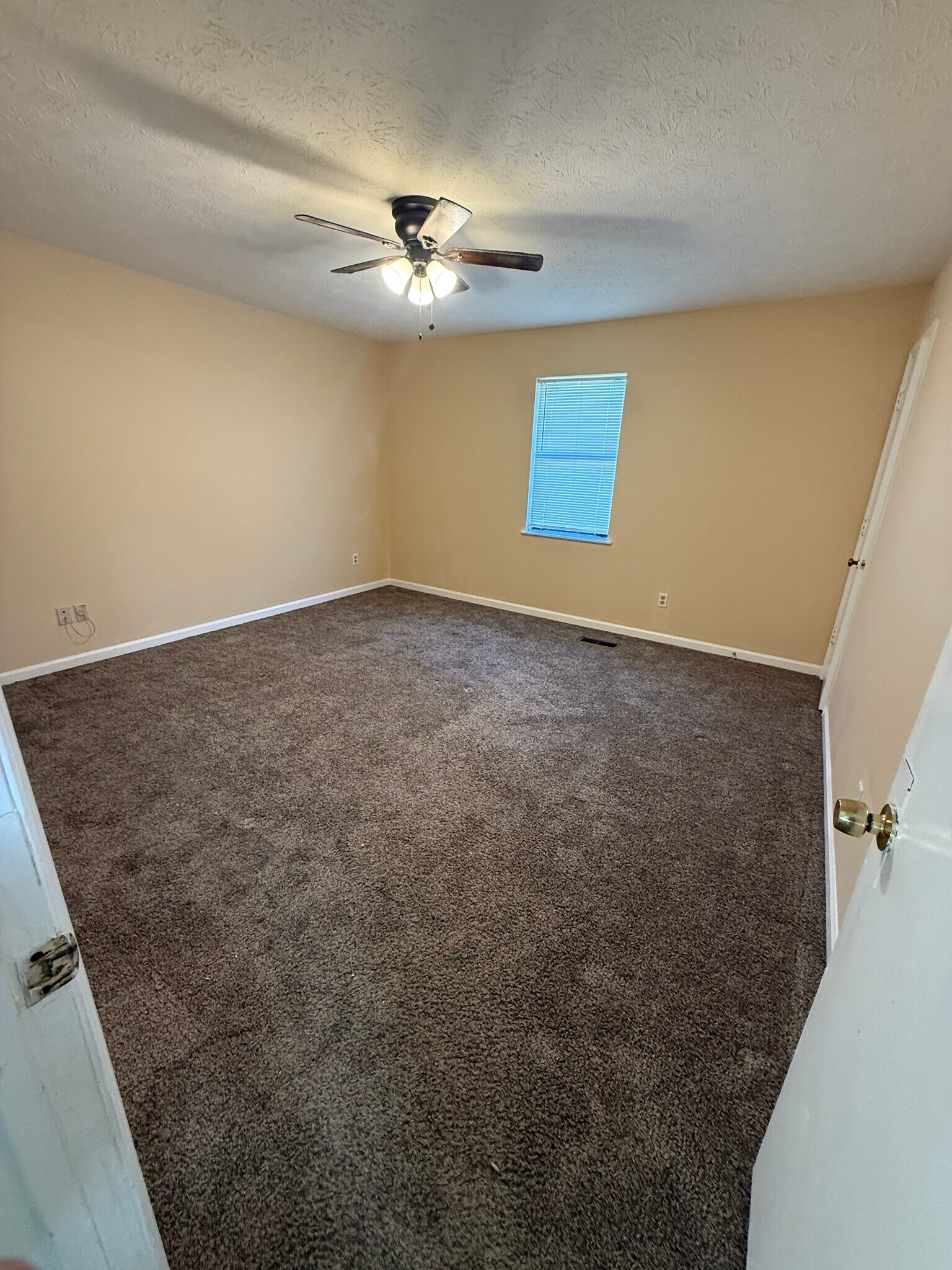 Building Photo - 1208 37th St