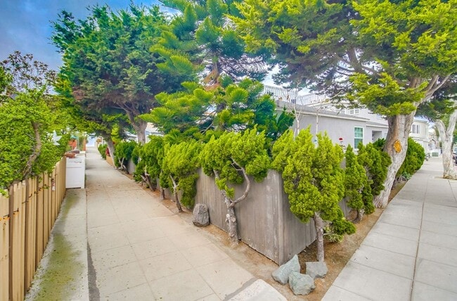 Building Photo - Price drop! Cozy Home Between Mission Beach and Mission Bay with Parking and Rooftop Deck!