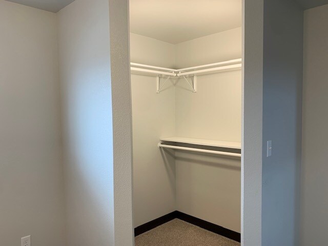 Building Photo - 528 Bull Run Dr