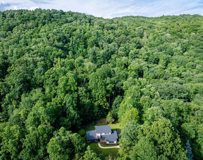 Building Photo - Spacious 4BR Home with Office and Fiber Internet Near Asheville