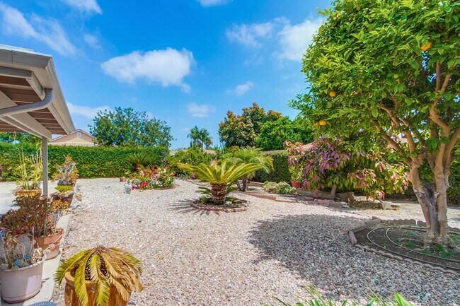 Building Photo - Single Story Oceanside Home Available July...