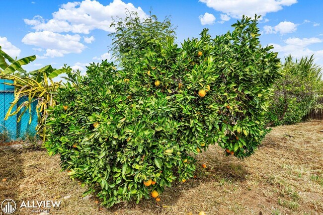 Building Photo - Charming 3 Bed/1 Bath El Cajon Home with Spacious Yard