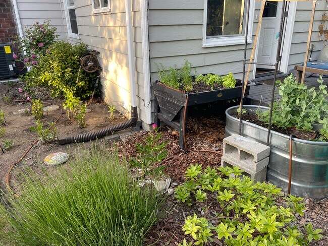 Building Photo - 2103 S Bennett St