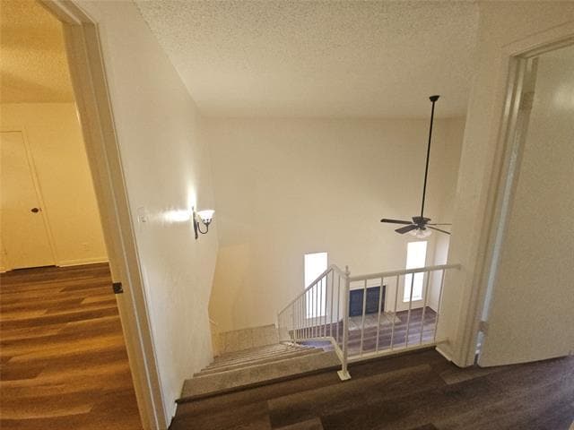 Building Photo - 2109 Fleur De Lis Ct