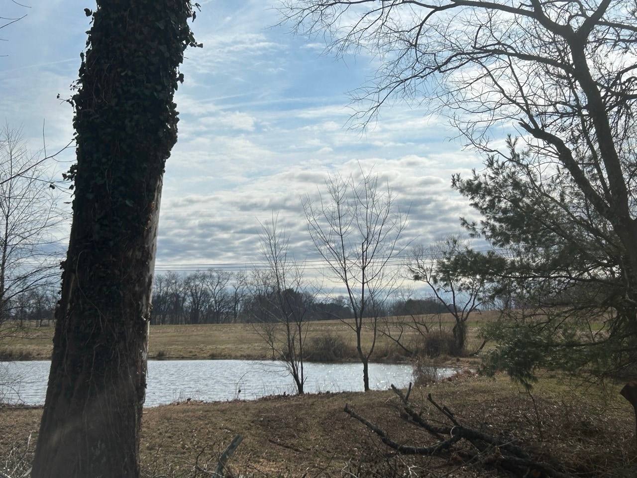 Exterior Pond no snow - 1520 Harvey Ln