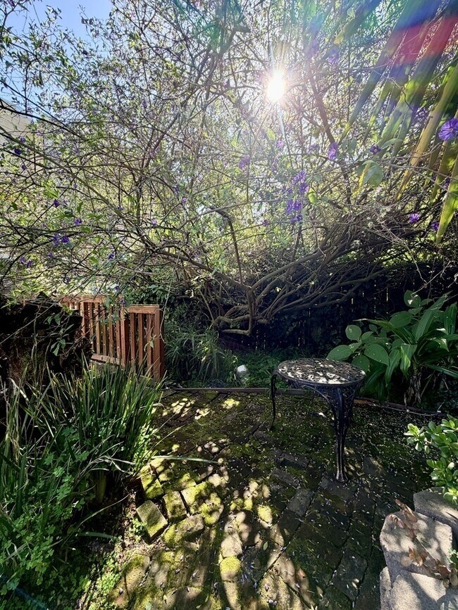 Building Photo - 2536 Sutter St