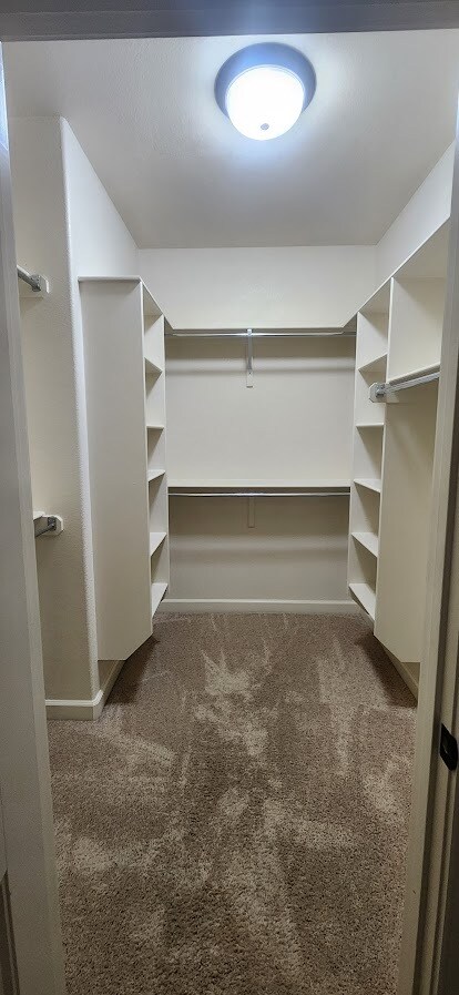 Building Photo - 3120 Plateau Dr