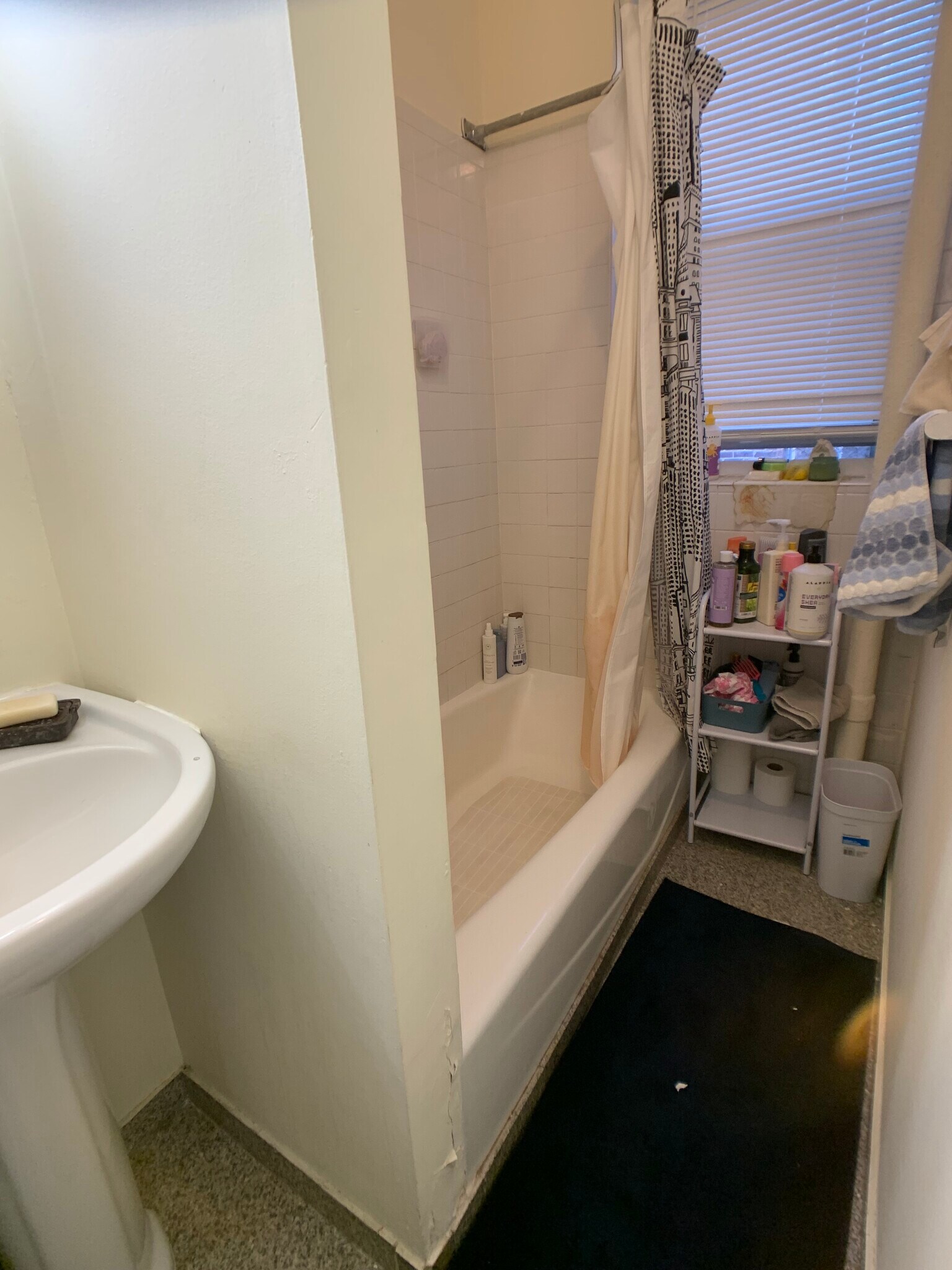 Building Photo - 34 Orkney Rd