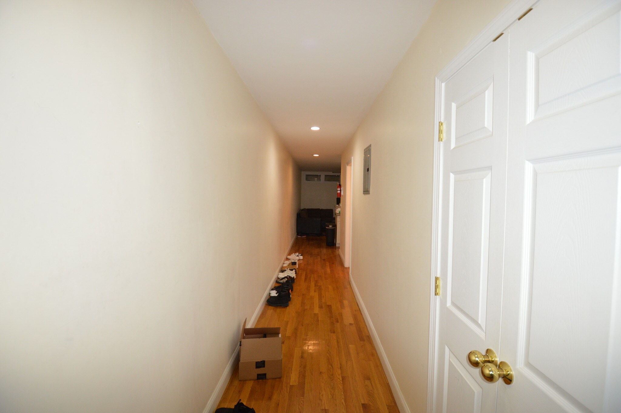 Building Photo - 66 Egmont St