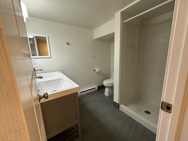 Updated bathroom with double sink vanity and shower - 1137 E Platte Ave