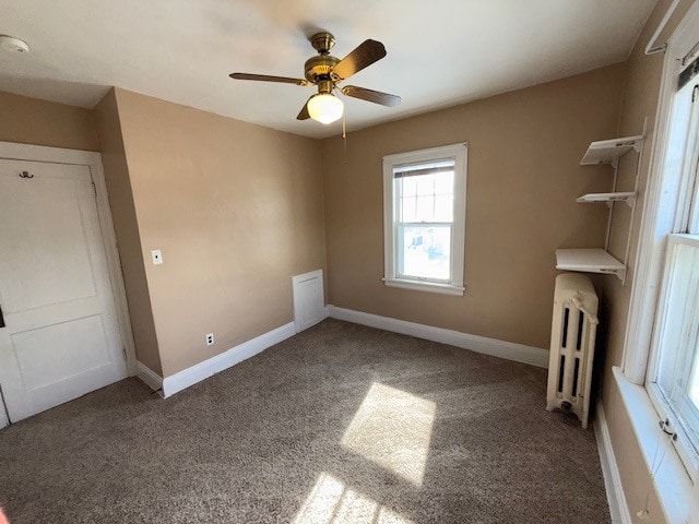 Ceiling fan - 1676 Randolph Ave