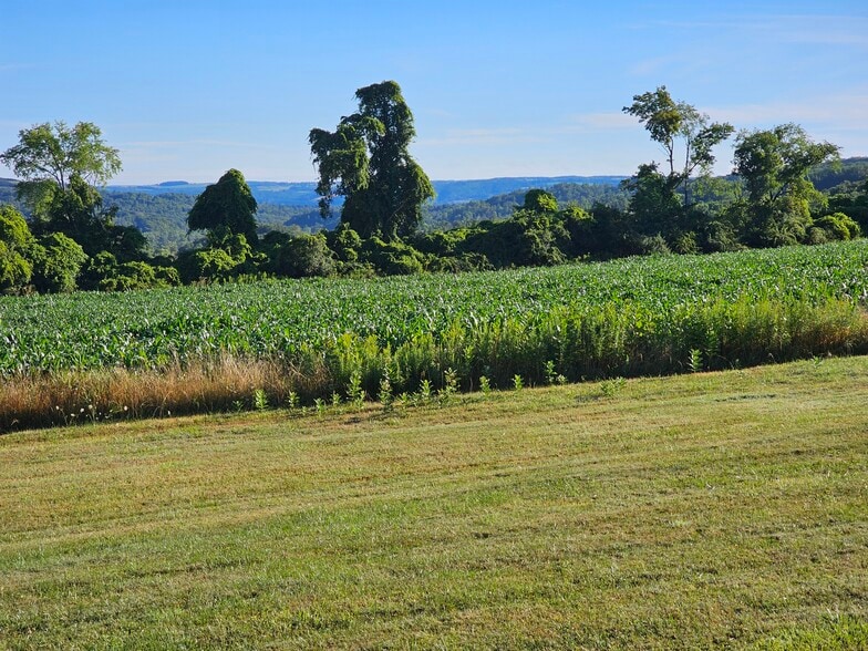 Building Photo - 8152 Wilson Karr Rd