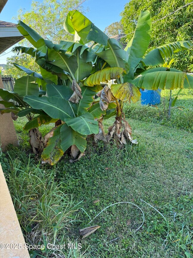 Building Photo - 767 Altona St NW