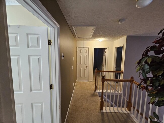Building Photo - 237 Osmanthus Way