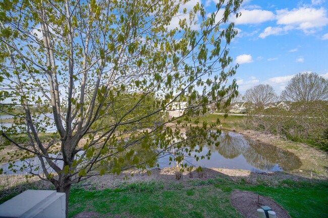 Building Photo - 439 Bay Tree Cir