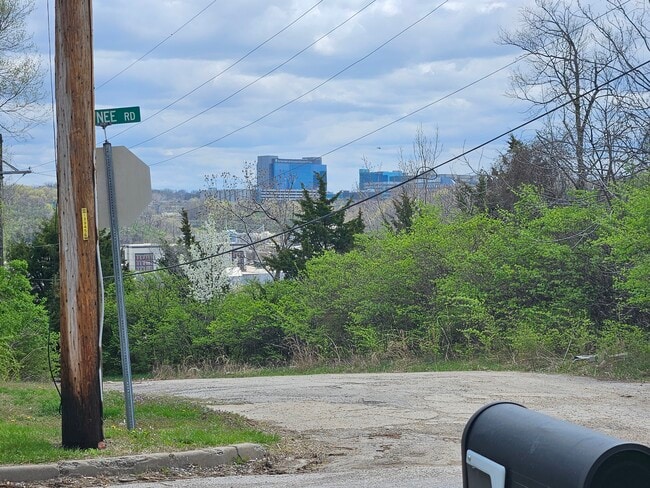 view from driveway - 490 Shawnee Rd