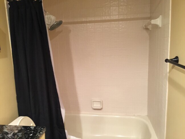 2nd bathroom tub & shower - 123 Deer Creek Blvd