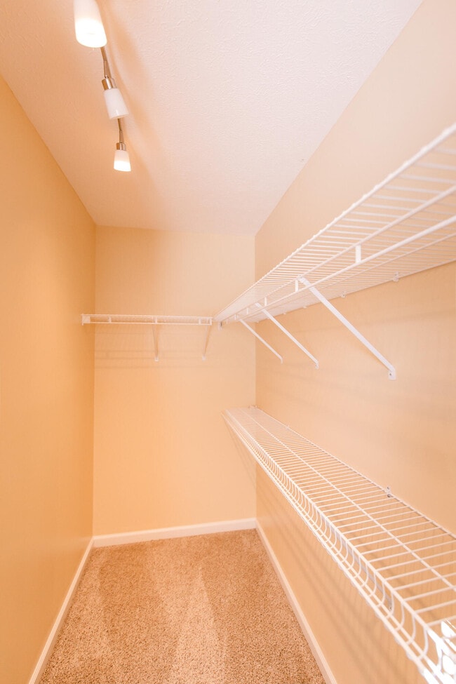 Building Photo - 448 Lemon Drop Ln