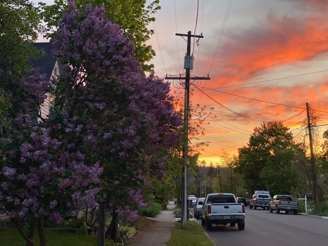 Building Photo - 1603 W Clarke Ave