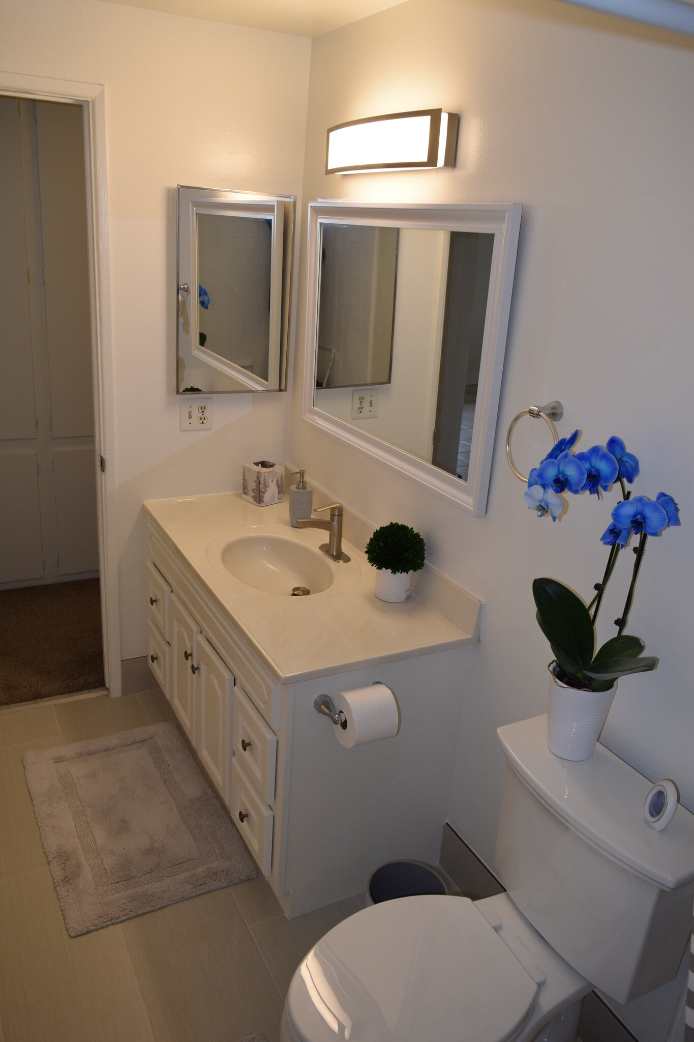 Large Vanity + Medicine Cabinet - 1945 Evergreen St