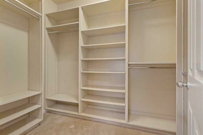 Building Photo - 300 Homewood Ct