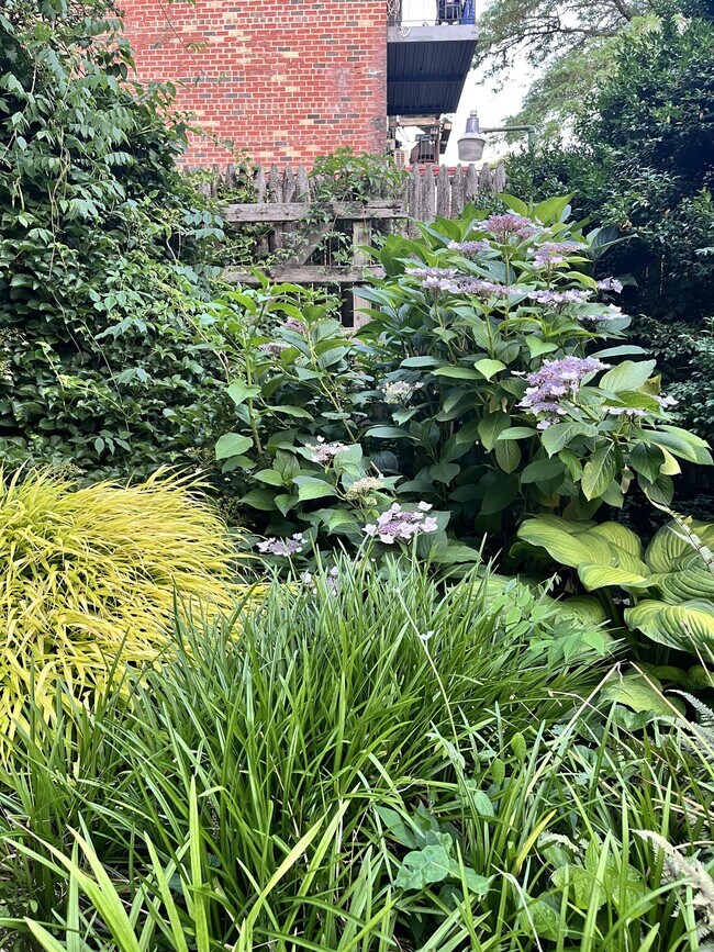 Building Photo - 82 Butler St