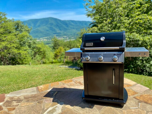 Building Photo - 1816 Bear Spgs Wy