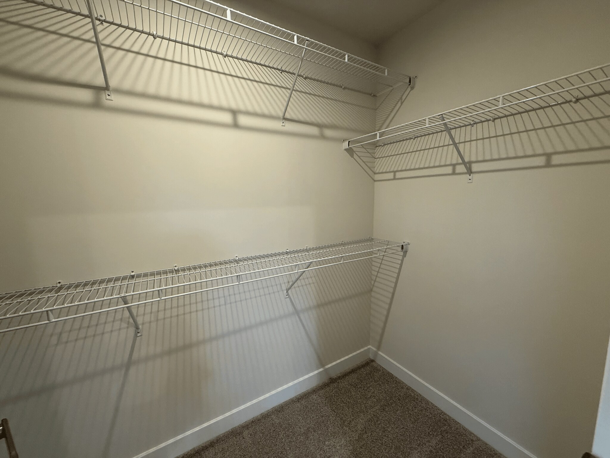 Building Photo - 1836 Bergerac Ct