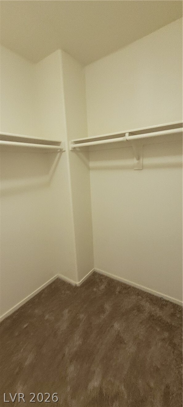 Building Photo - 2506 Lady Elizabeth Ct