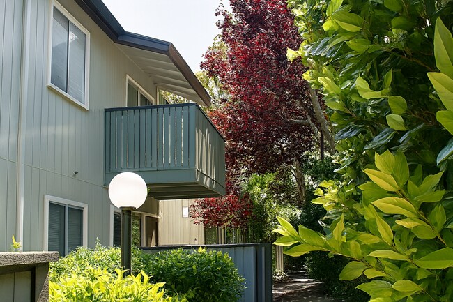 Building Photo - 403 Piccadilly Pl