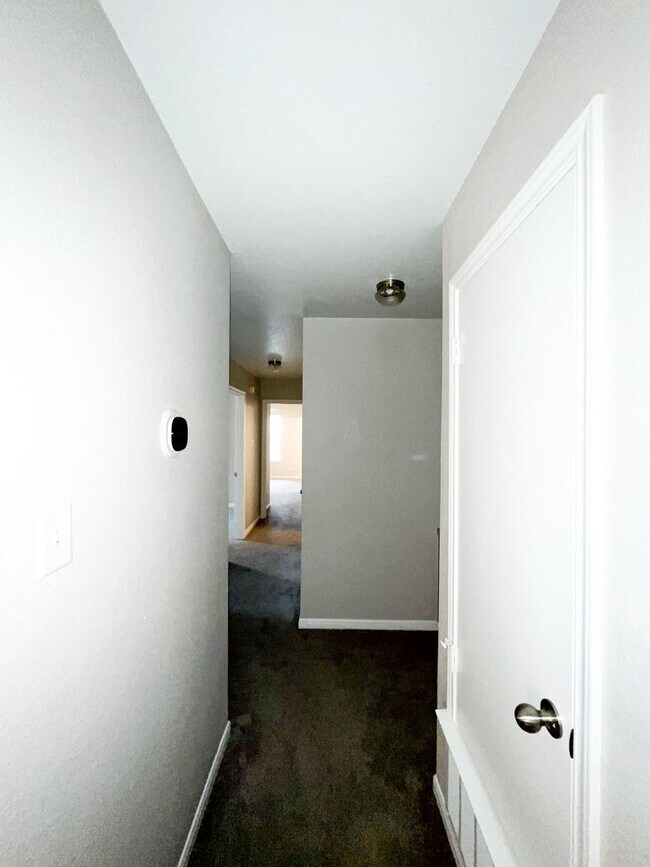 Building Photo - 1213 Cinch Dr