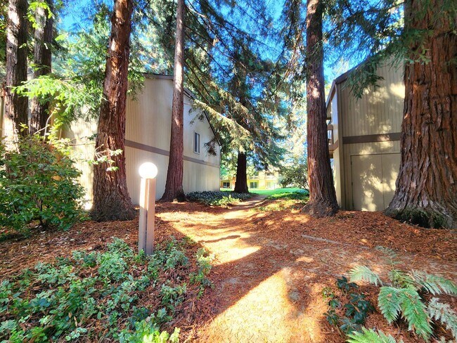 Building Photo - Charming 2BR/2BA Condo Steps from Downtown Mountain View