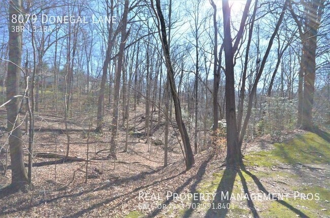 Building Photo - 8079 Donegal Ln