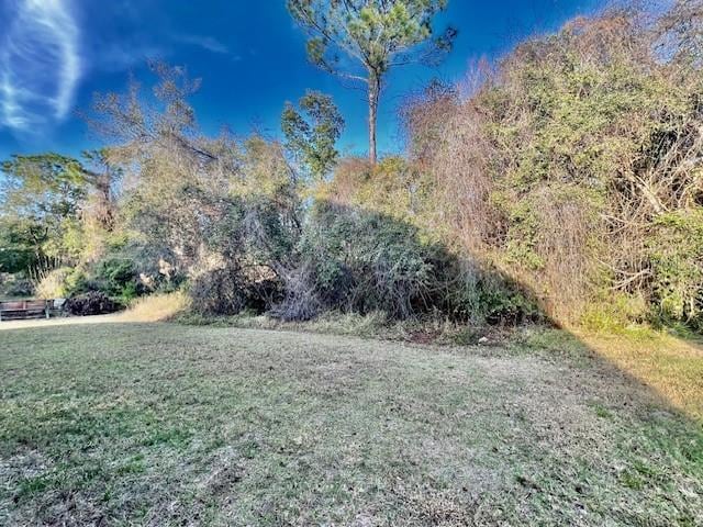 Building Photo - 11453 Belle Haven Dr