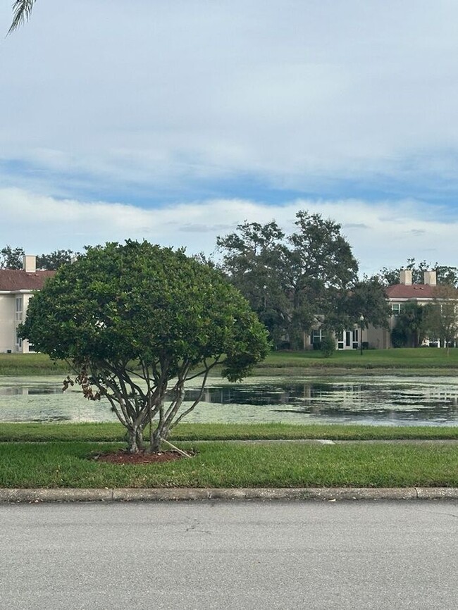 Building Photo - THE GRAND AT OLDE CARROLLWOOD