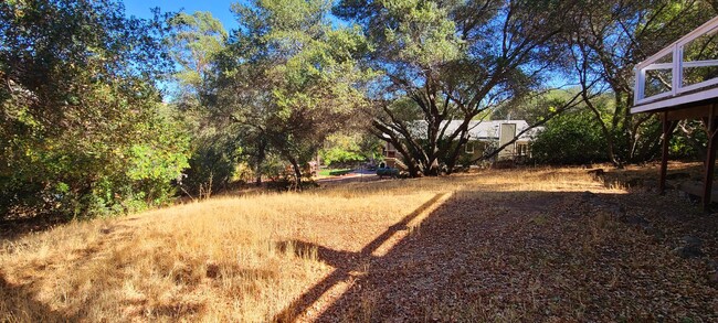 Building Photo - Gorgeous Single-Story Single-Family Home i...