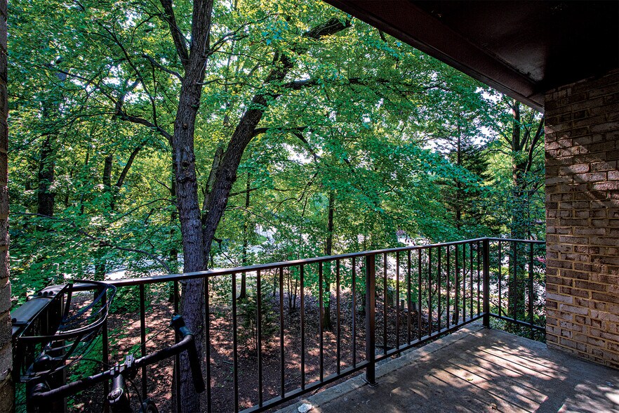 Building Photo - 2037 Royal Fern Ct