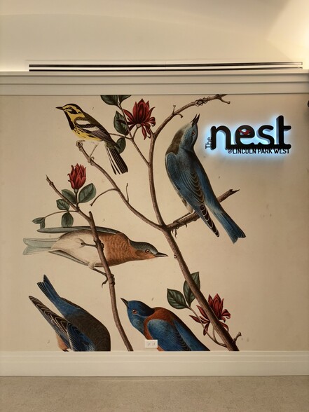 Primary Photo - The Nest at 2140 N Lincoln Park W