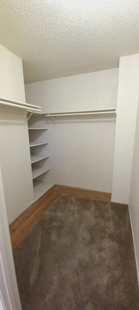 Building Photo - Got Room? - Paradise Valley Home Is Expansive!