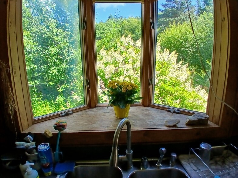 Kitchen has garden view - 115 Delta Dr